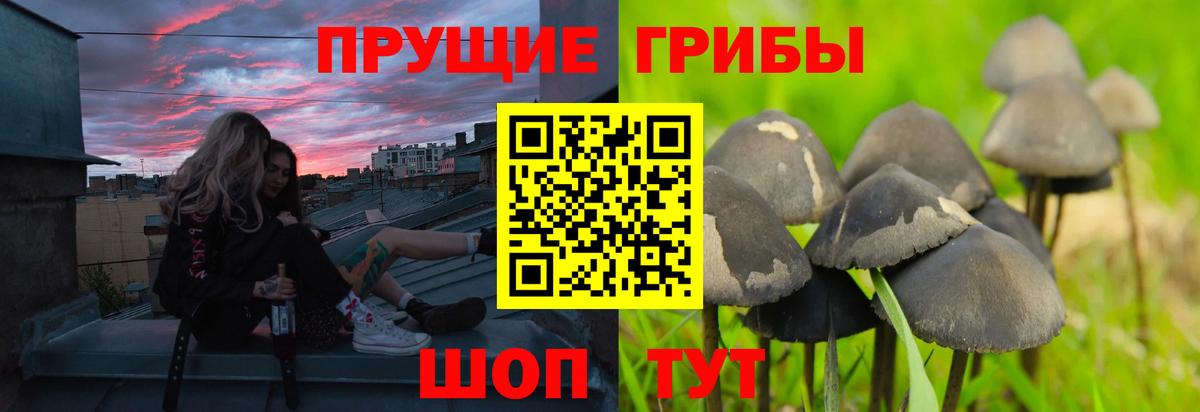 Галлюциногенные грибы GOLDEN TEACHER  Вход с VPN  Галлюциногенные грибы MAGIC MUSHROOMS  Сатка 